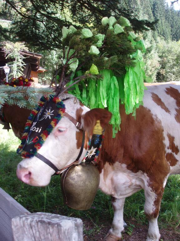 Ferienwohnung Wohlfartstaetter Auffach Esterno foto